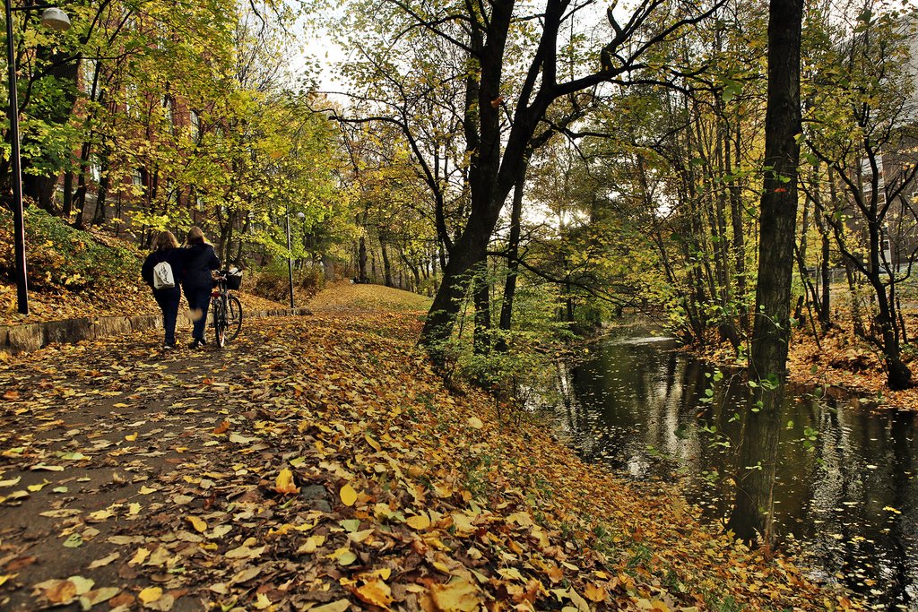Autumn leaves along the Akerselva River