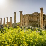 Marvel at the well-preserved Nymphaeum, dedicated to water nymphs, in Jerash