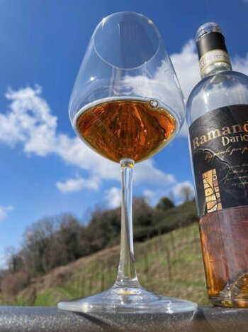 Wine Tasting - A Taste of Friuli’s Hill Country 