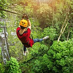 An exhilarating zip line ride takes you through the forest canopy