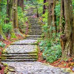 Tackle a section of the scenic Kumano Kodo Trail