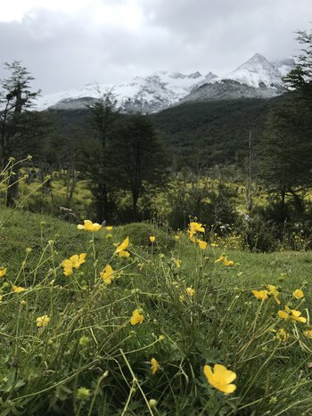 Trekking to Glacier Vinciguerra & Laguna de los Tempanos 