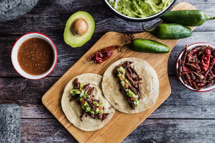 Tacos de chapulines or grasshopper tacos are a traditional Oaxacan meal