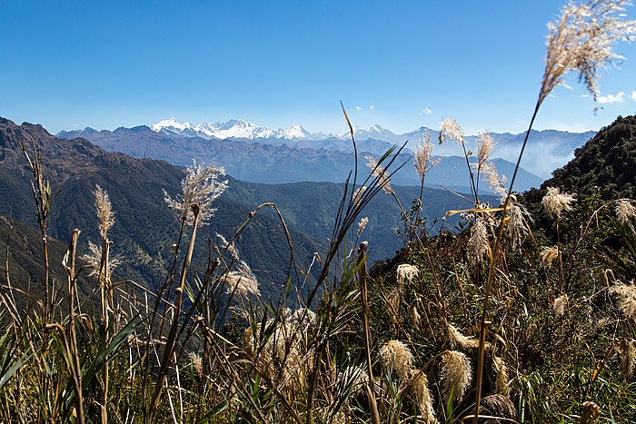 Inca Trail Day 3/4: Chaquicocha - Phuyupatamarca - Wiñayhuayna
