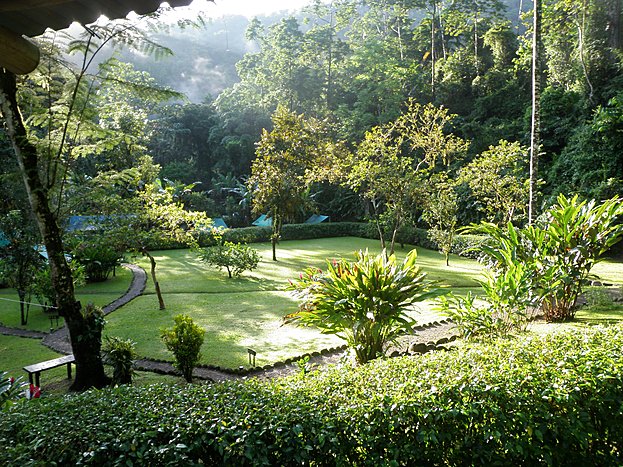 Pacuare Valley – Free day in the rainforest - hike to waterfall, play in a rapid, and relax in a hammock