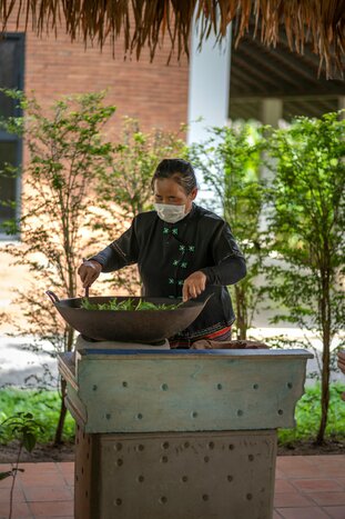 Tea Plantation Visit in Chiang Mai