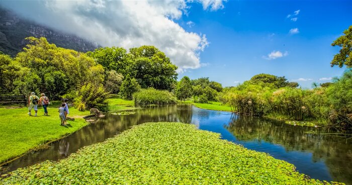 Kirstenbosch National Botanical Garden Visit