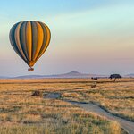 Ride a hot-air balloon over Serengeti National Park