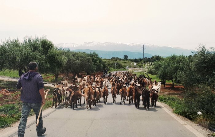 The 7 Villages Of Apokoronas Tour
