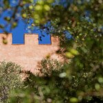 Stay at Morocco's first ecolodge near Agadir