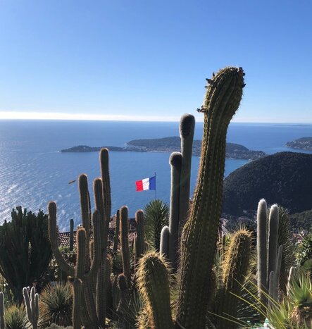 Grand Riviera Journey: Eze, Monaco, Antibes & Cannes Excursion