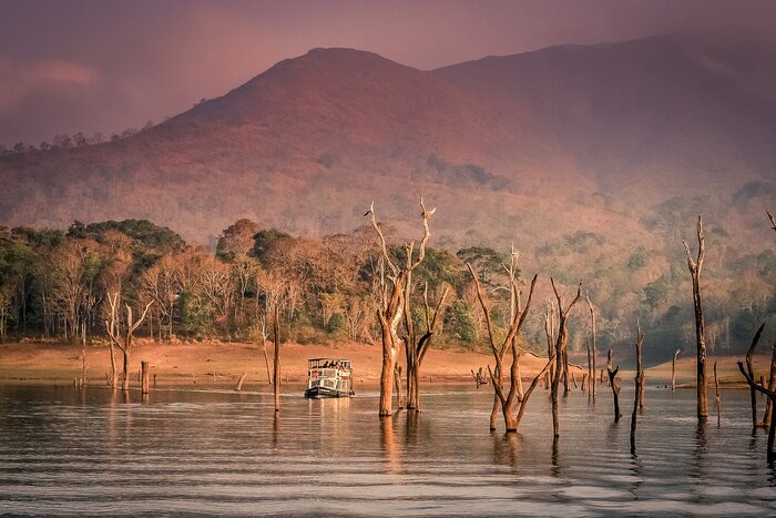 Take a boat trip on the lake at the Periyar National Park