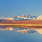 See the deserts and lagoons of the Atacama before flying south to Patagonia