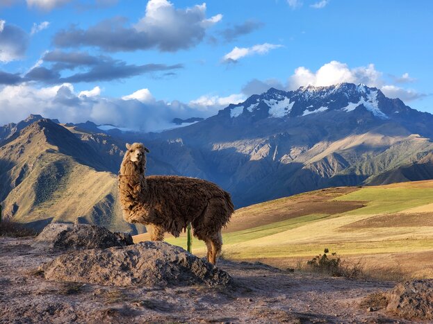 Sacred Valley Inmersion