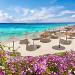 Sunbathe on the beaches of the Red Sea during this 13-day Egyptian adventure