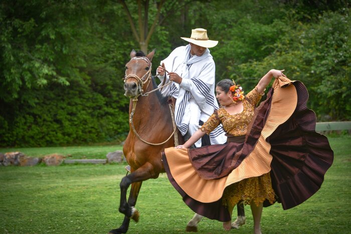 Catch a performance of the "marinera" and see the Peruvian Paso, a horse common to northern Peru