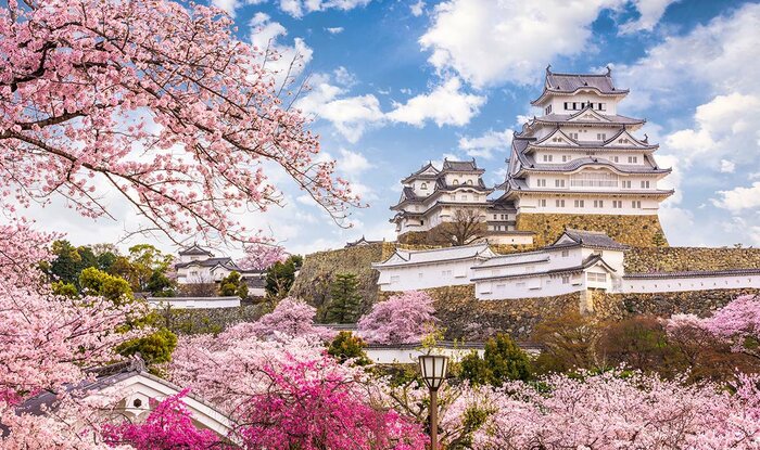 Full Day Himeji Excursion from Osaka by Private Car(Himeji Castle, Kokoen Garden)