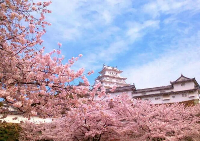 Full Day Kobe Hakutsuru Sake Brewery Museum and Himeji Castle Tour