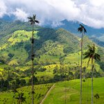 Stay two nights in Salento and explore the Cocora Valley