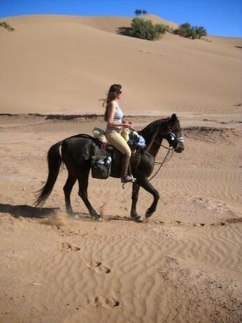 Horse Riding Adventure in the Desert