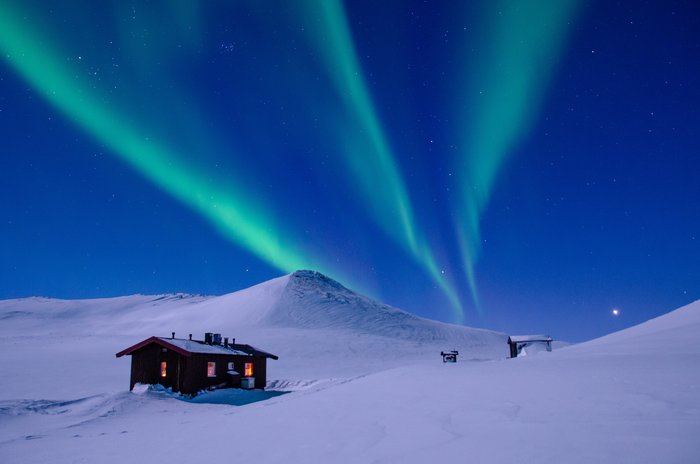 Evening Horse Sleigh Ride