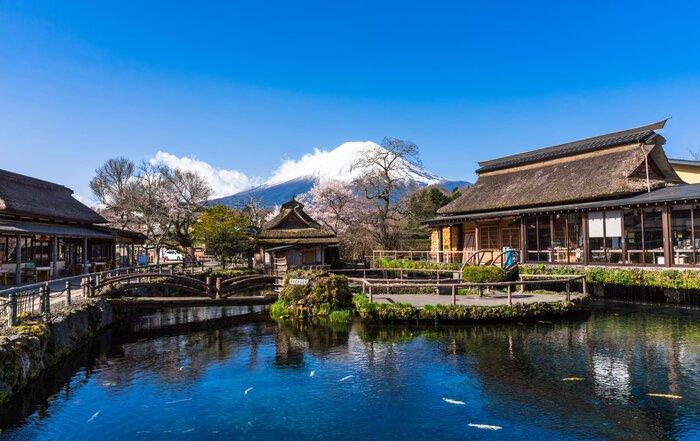 Full Day Mt. Fuji with Lake Kawaguchi, Oshino Hakkai and Oishi Park