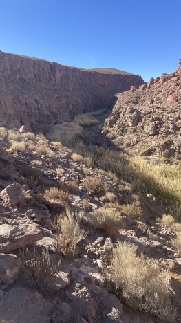 Puritama Canyon Trek