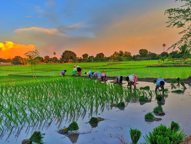 Kumarakom: Sustainable Walk