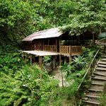 How to Get from Cartagena to Minca