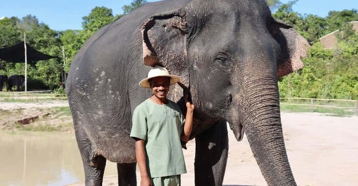 Visit Kulen Elephant forest, Banteay Srei Temple