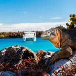 Explore hidden bays and uninhabited islands on cruise around the Galápagos