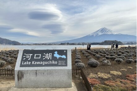 Mt. Fuji & Arakurayama Sengen Park Standard Lunch Course (Round Trip from Shinjuku  or Tokyo Station)