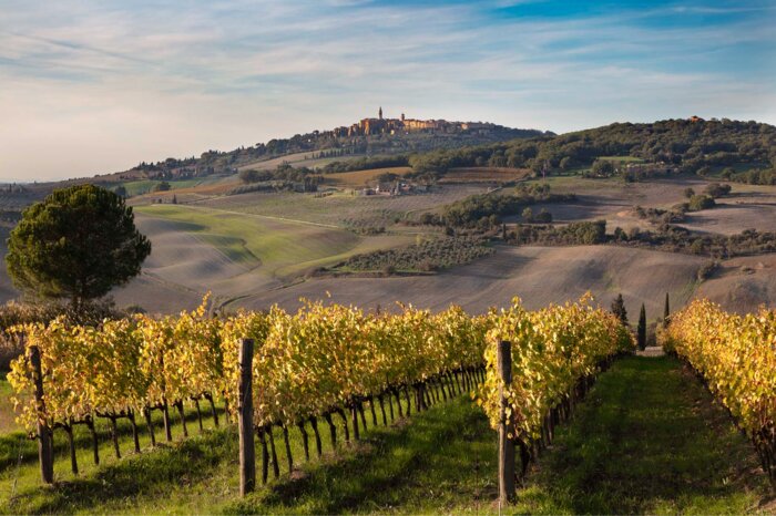 Full Day Tour To Val D'Orcia and Gladietor's Fields: Montalcino, Montepulciano and Pienza with Wine and Cheese Tasting