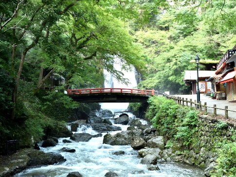 Discover Daruma Magic and the Beauty of Minoh Falls