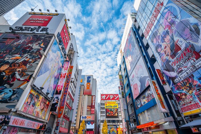 Wind through the neon-lit streets of Tokyo's "Electric Town"