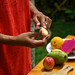 Head to a local ranch and learn to cook classic Costa Rican cuisine