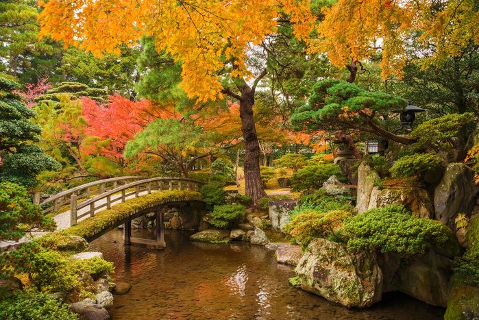 Half day Experience Traditional Japanese Gardens With Japanese garden designer