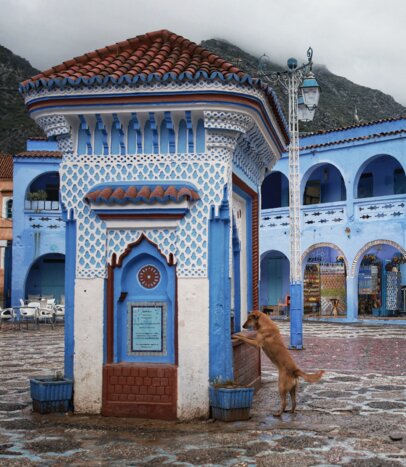Chefchaouen: A Guided Walk
