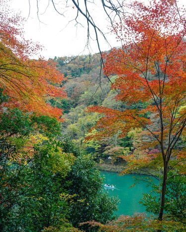 Self-Guided Sightseeing in Arashiyama