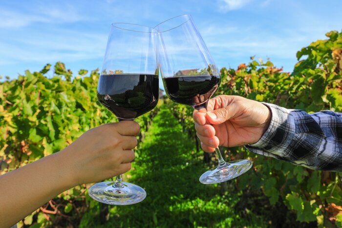See France's best vineyards and try delicious wines on this tour