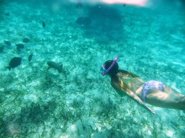 Snorkelling day tour at Caye Caulker