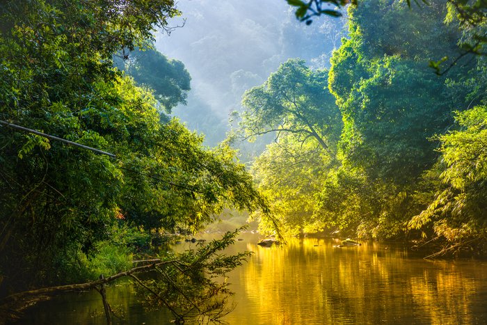 Sun shines in the Amazon