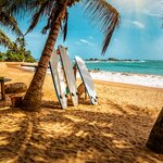 Learn how to ride the waves on Weligama Beach