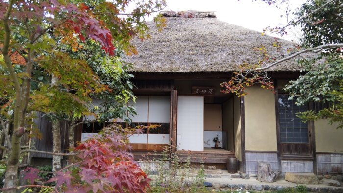 Hidden Paths of Arashiyama:Tea Ceremony ,Moss Temples and Kaiseki Dinner with Maiko Performance（Private Guide, Public Transportation）