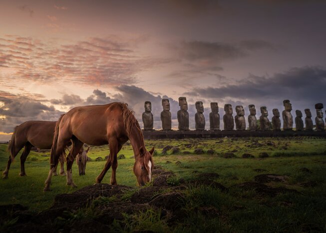 Horses graze alongside the legendary moai statues of Rapa Nui