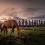 Horses graze alongside the legendary moai statues of Rapa Nui