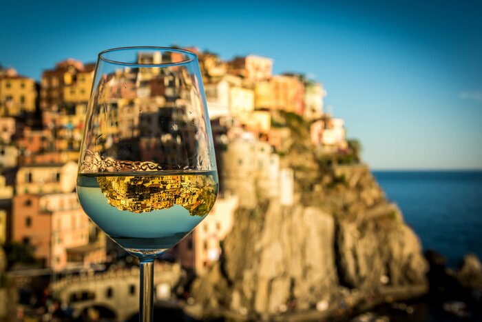 Wine tasting at local farmhouse in Monterosso