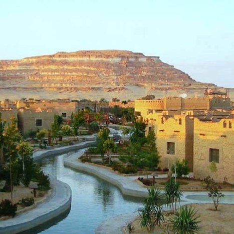 Day tour to White Desert and Bahariya Oasis Tour