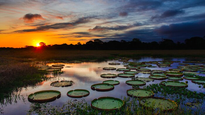 Spend three nights surrounded by nature in Brazil's  North Pantanal
