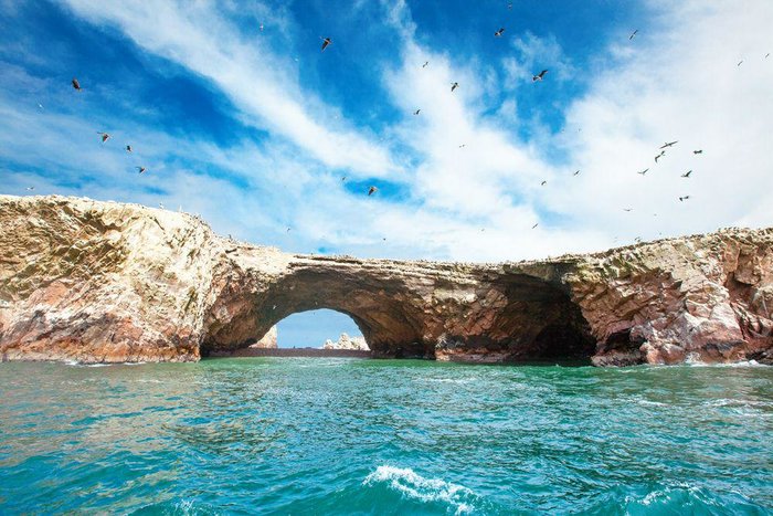 Ballestas Islands Tour & Return to Lima